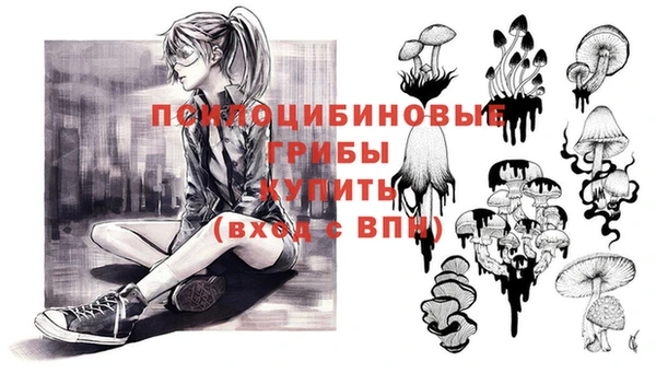 винт Гусиноозёрск