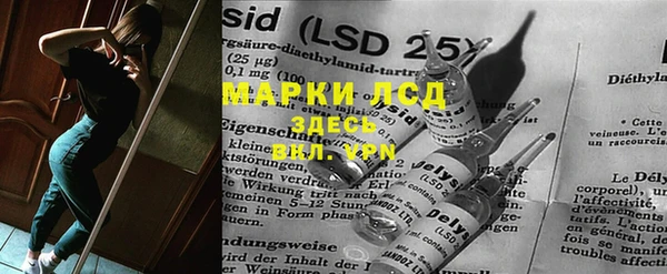 PSILOCYBIN Гусь-Хрустальный