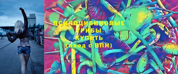 винт Гусиноозёрск