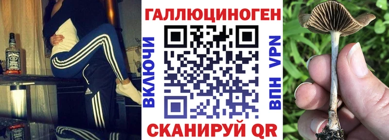 Купить где  Троицк  Галлюциногенные грибы прущие грибы 