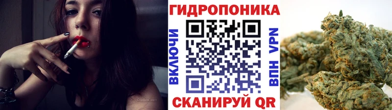 Купить закладки  Троицк  Каннабис Ganja 